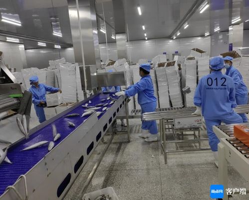 文昌約亭產(chǎn)業(yè)園發(fā)展駛上快車道，打造產(chǎn)業(yè)新高地