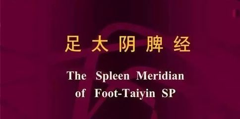 高級催乳師必學穴位 大包穴